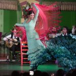 flamenco dancer of El Palacio Andaluz
