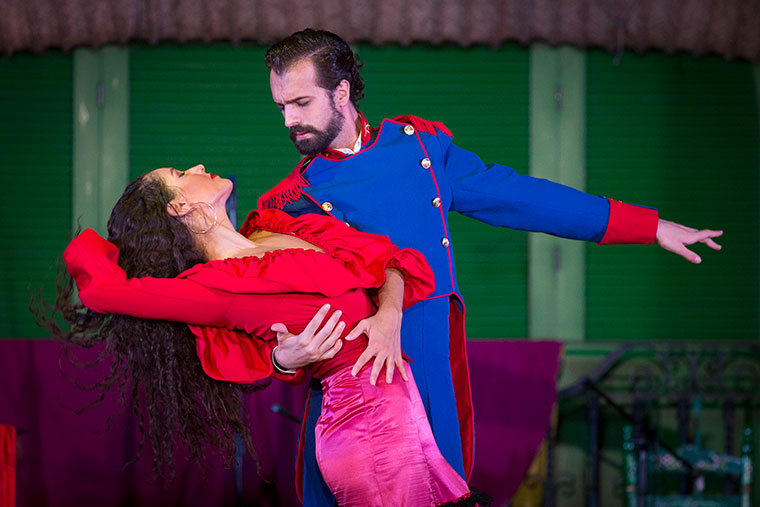 the best flamenco show in andalusia