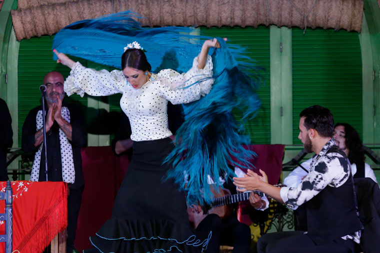 what is a flamenco show