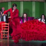 Tablao El Palacio Andaluz, flamenco con los 5 sentidos