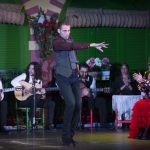 Los palos flamencos son los diferentes tipos de cante