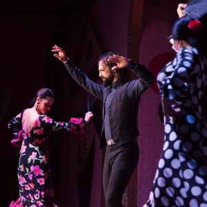 Prenota lo spettacolo online di flamenco sevilla