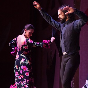 reservation en ligne spectacle de flamenco