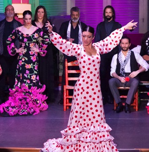 spectacle de flamenco et dîner à séville