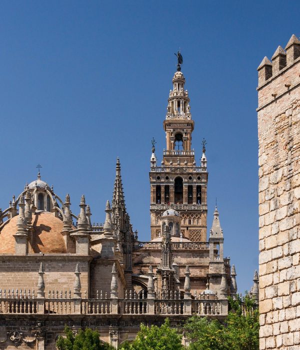 catedral de sevilla