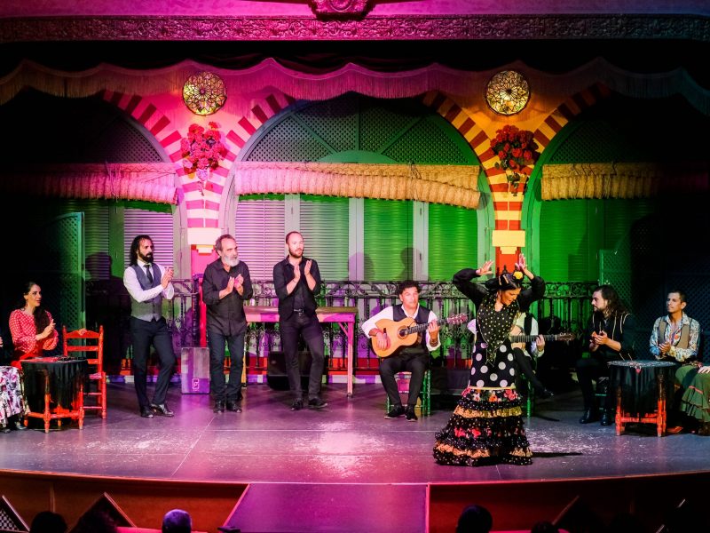 espectaculo de flamenco tradicional