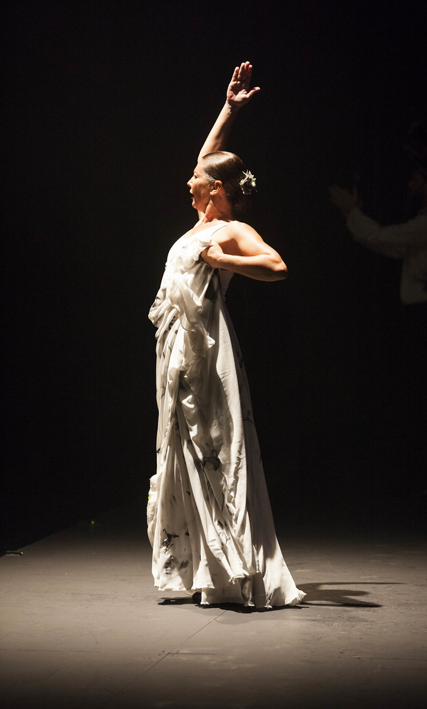 Bailaora flamenca Sara Baras Bailaora flamenca Sara Baras. Fuente de la imagen: Flickr