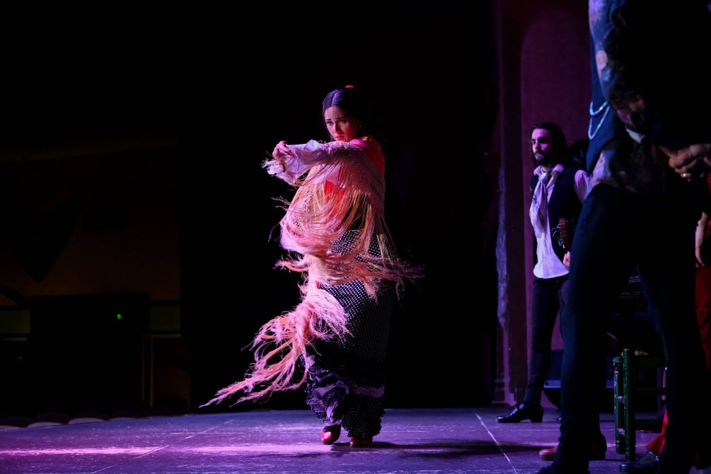 mejor espectaculo flamenco andalucia