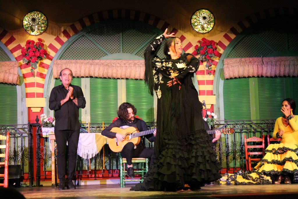 Flamenco performance with dancer, guitarist, and clapping in vibrant setting.