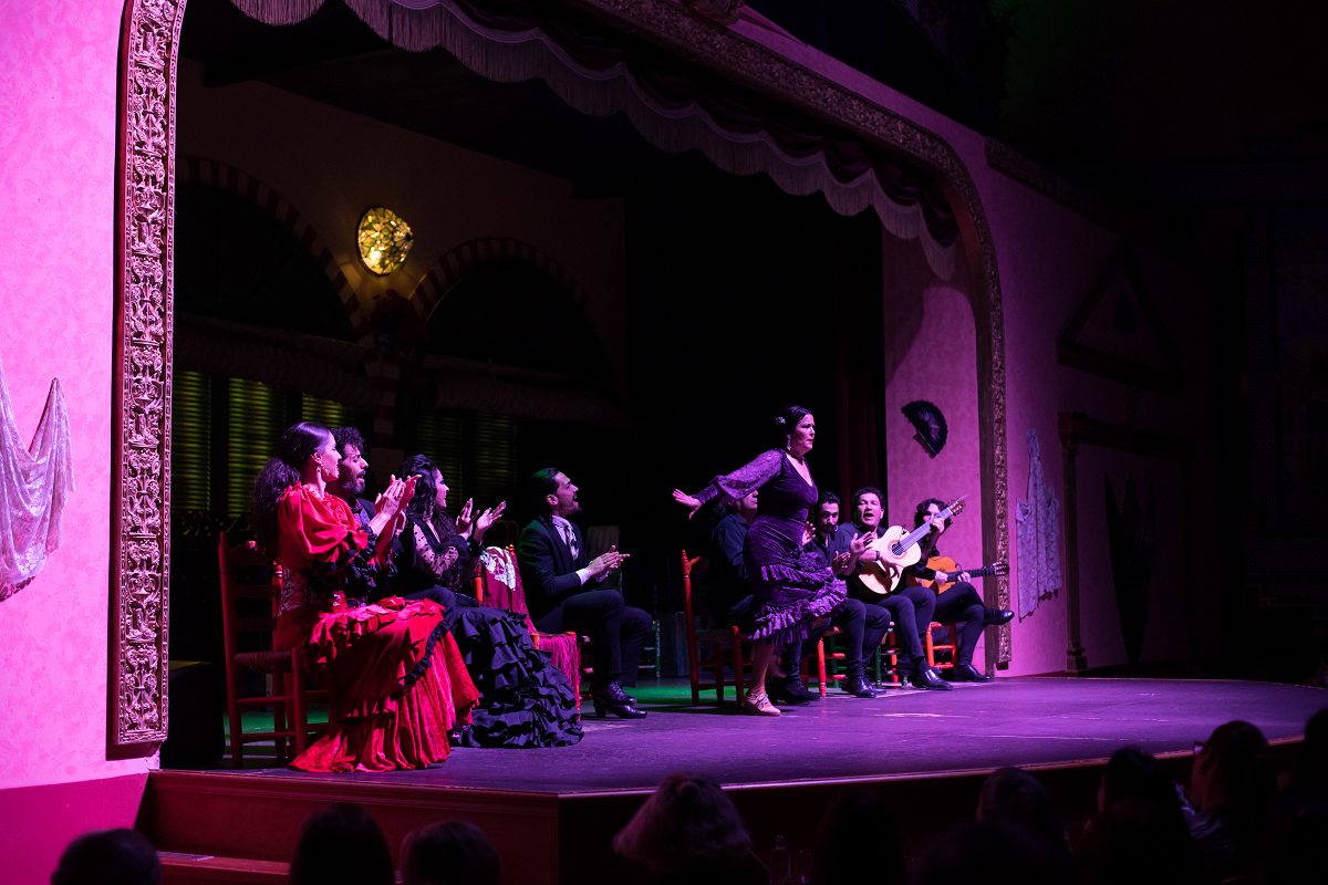 Flamenco dancers and musicians perform on a dimly lit stage.